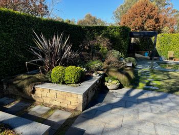 backyard project in Wahroonga